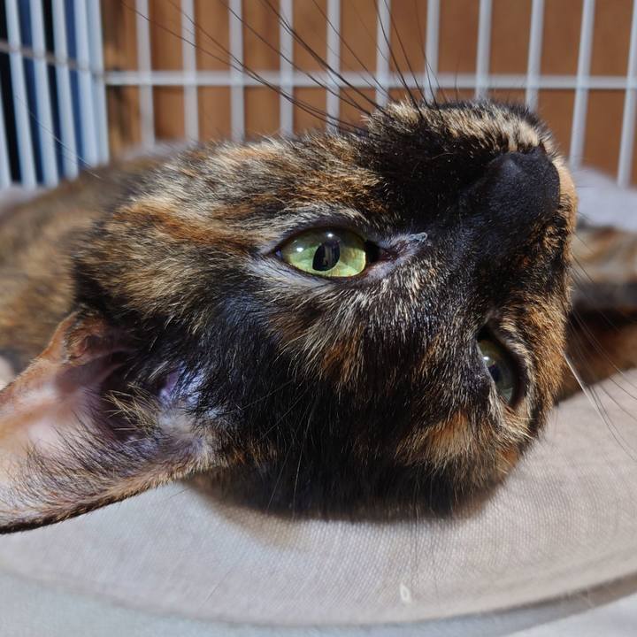 B462f083 ac17 4258 9345 f28bfcff932d 1661779415611