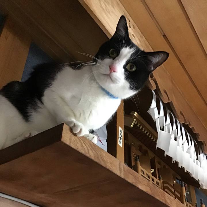 B46334e9 bf72 4be9 b9ee 15f805a788a9 1735893285254