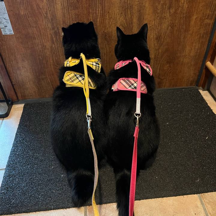 B4634ec7 93c0 40f5 a264 c868c3327e30 1658964205879