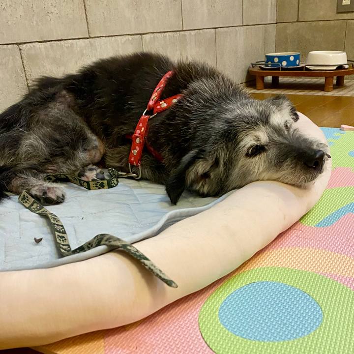 B46364bb 7705 4d94 8ce6 cf1933890a15 1590195139215