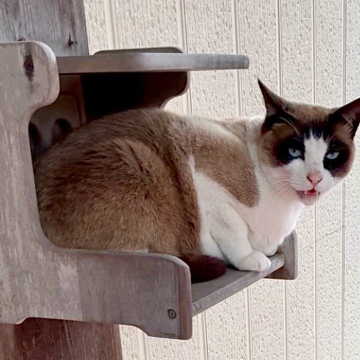 B4636540 840c 4b37 8489 16a44a57d1b0 1745805124628