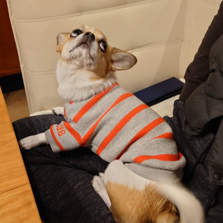 B4636a0d c44d 4a74 a215 f94560331805 1642163717819