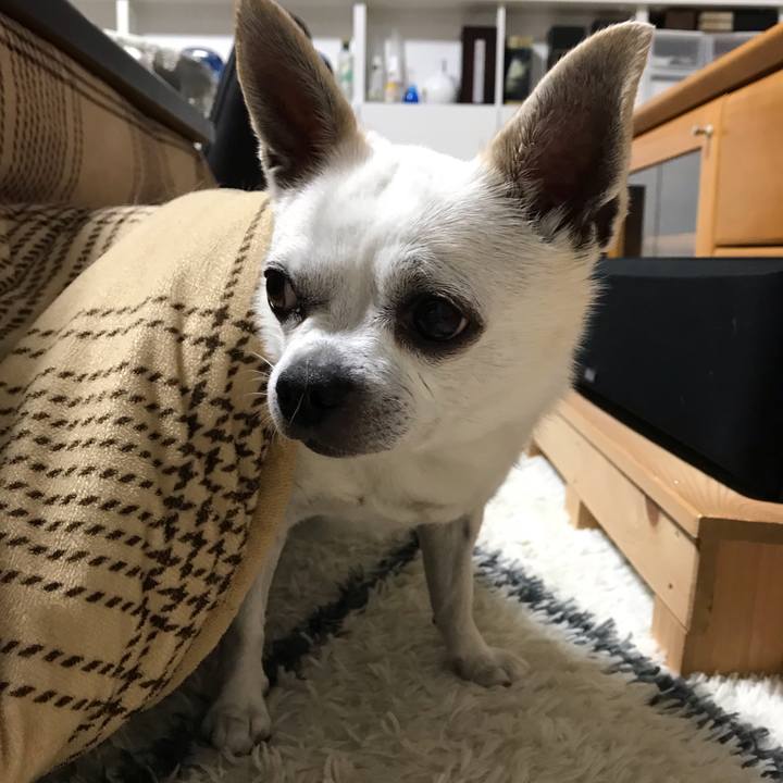 B4637b3e 0f89 4af7 9472 318a4b3313a1 1644218583200