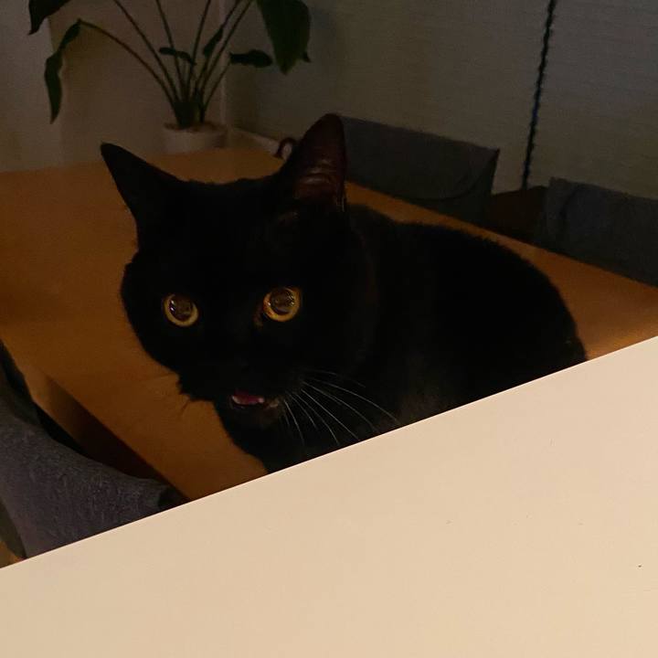 B4637d49 1f42 49b7 af0c db02364cc0a2 1731245249812