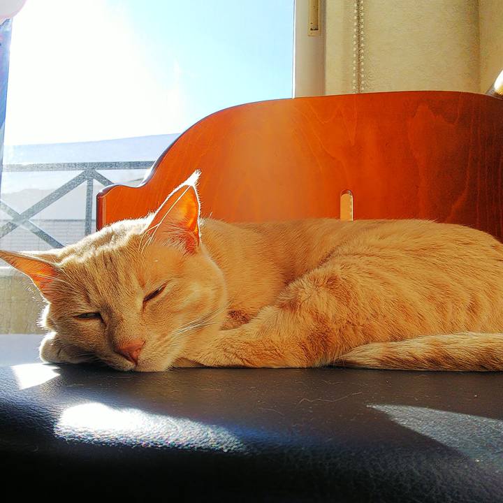 B4637e53 caa0 4a42 bbd0 7434bbb305a9 1642911638676