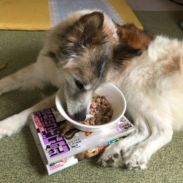 B463a8c1 76c5 4a37 90a9 e14679cc2587 1551845063412