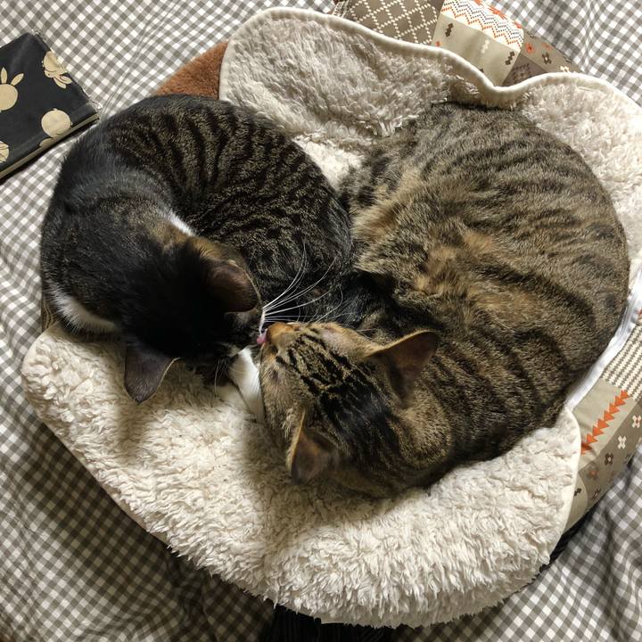 B463af90 b940 495a be04 309941ffedb1 1517053135615