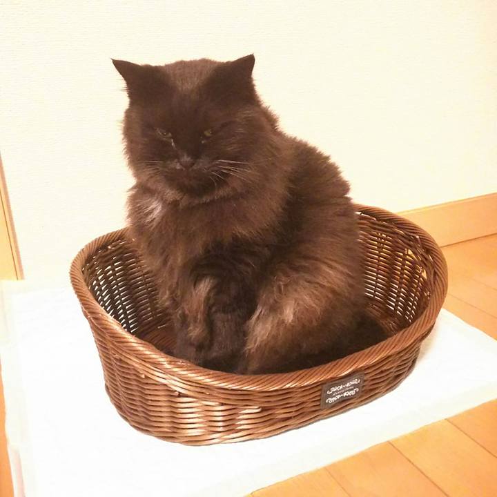 B463c516 169b 4626 b7e8 bc68192eeba2 1533384106466