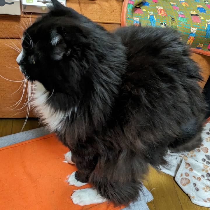 B463cdde c2bb 4fb7 9457 1b44be9488ef 1709261545285