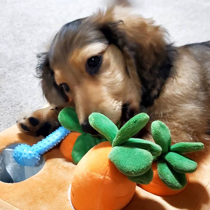 B463ebe9 3827 48c0 a4c7 77ec7daa1e64 1760874388777