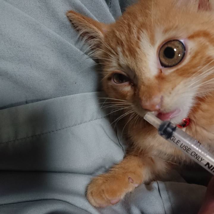 B46451af b3f8 42c2 ae85 5f47885319b4 1628589251738