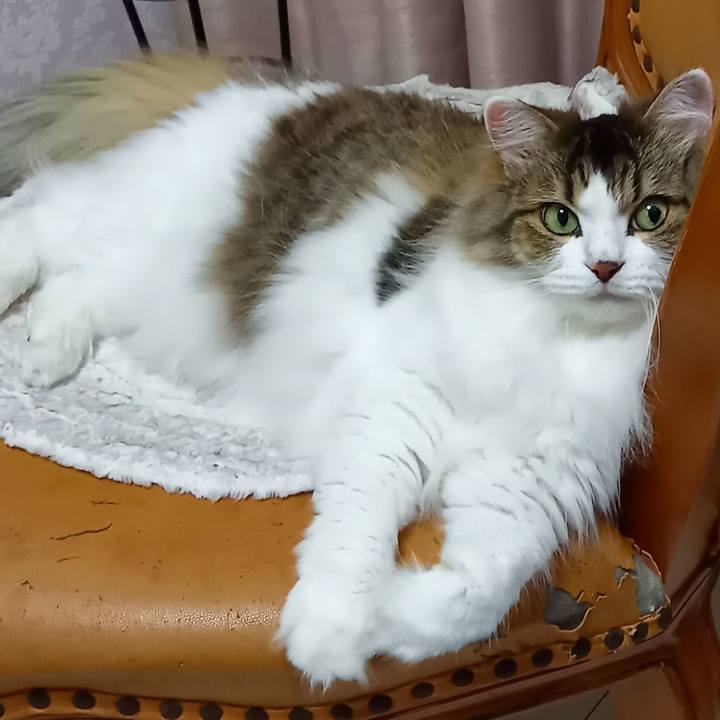 B4647385 9d5a 4d8e a2f8 4857c1c16b14 1626687816942