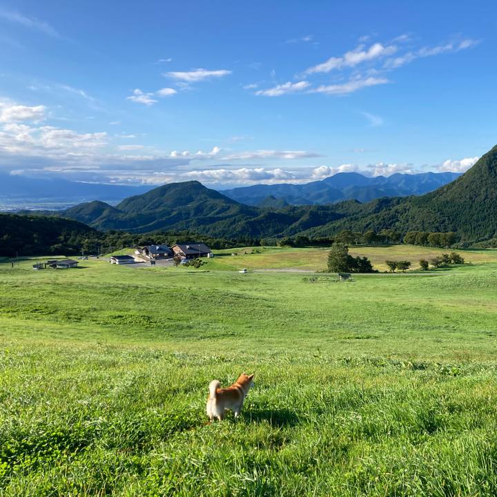 B464806f 378e 414b bed2 43362e49666f 1662276433839