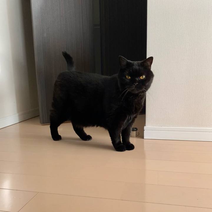 B46485a5 caa2 454d 98b6 36bc1069519c 1719216569675