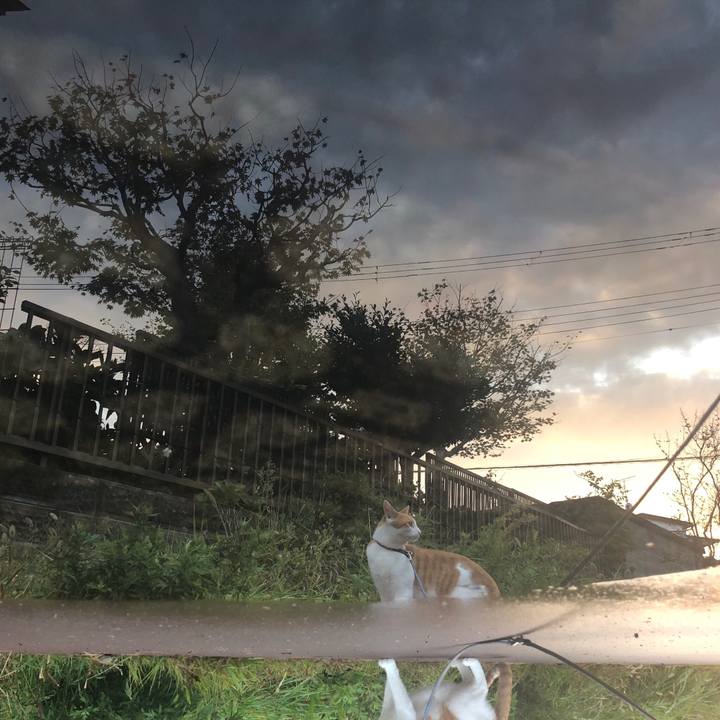 B4649e3e 42ed 4834 8526 43d61ef8ce16 1540370611495