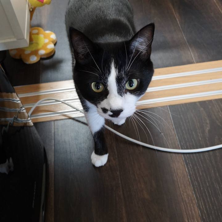 B464a822 de55 40a8 8b08 3a7c37be578c 1544324103114