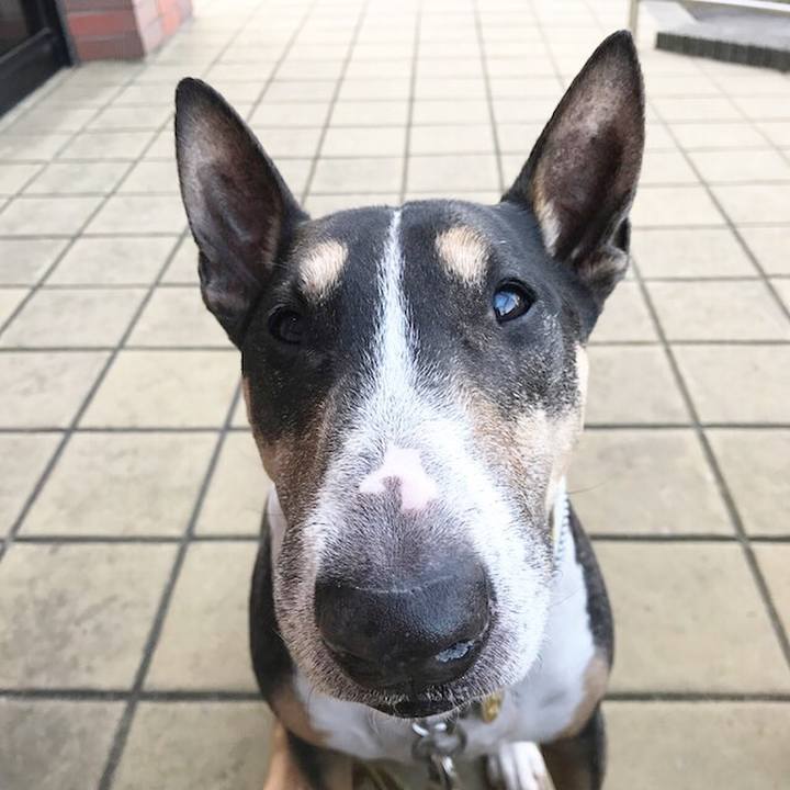 B464b264 e062 42e6 aa1b 9525be9ec518 1510470761974