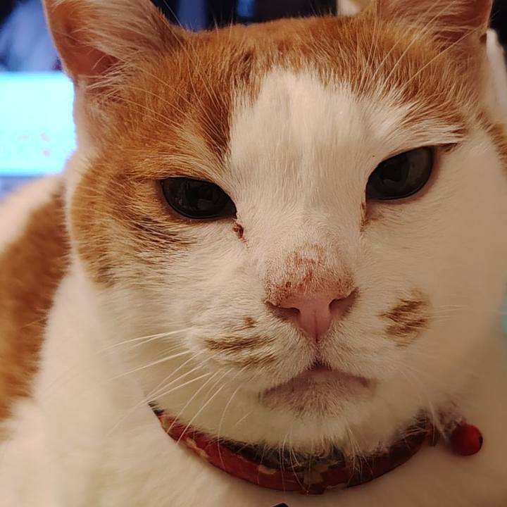 B464ebce b70b 4ba3 ab14 32e393c62c53 1766663976285