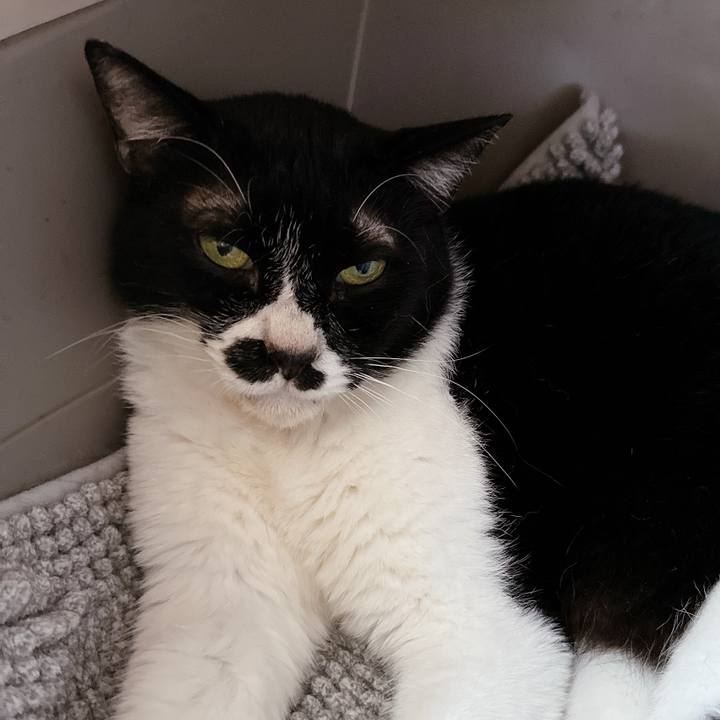 B464ecab 42fe 4b2b ac00 eb1edd29b8c3 1720086241916