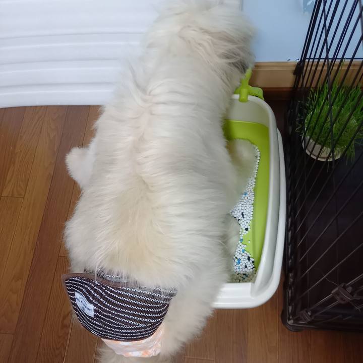 B46500d7 ebf9 4d61 a082 158b29b6d069 1623672757561