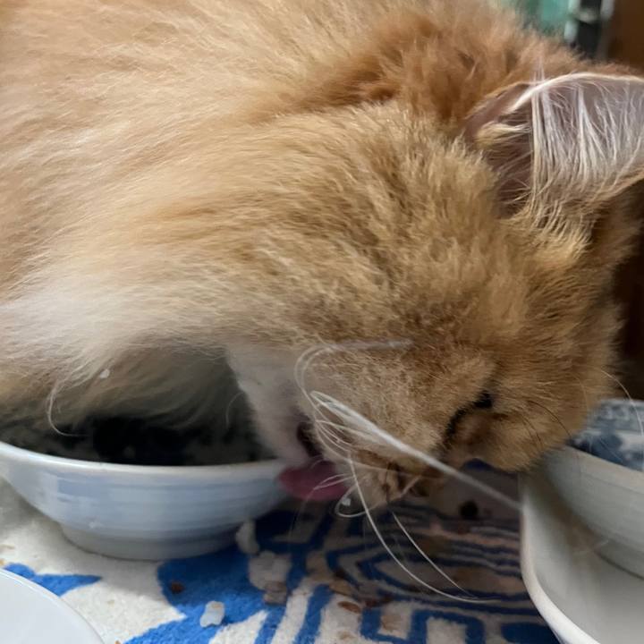 B4650d91 6b79 43b0 8524 86c3c74fc758 1737199161397