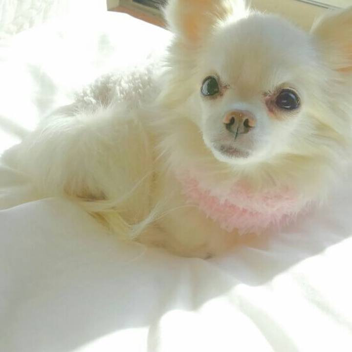 B4651aea 5d17 4f03 bf32 3bf165719916 1549284914804