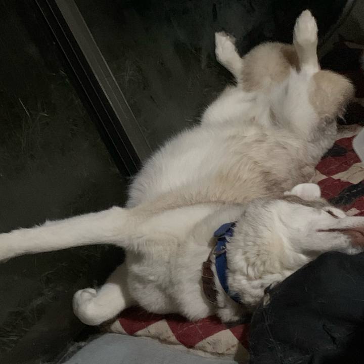 B46542f6 ee4e 48a6 951f 8fcbc492f658 1609035791361