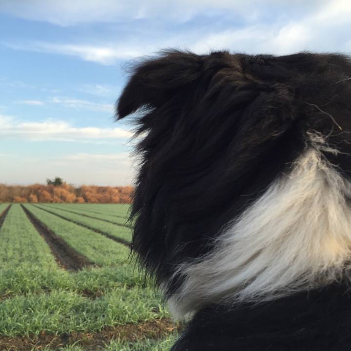 B46549b4 8146 4345 9388 3d3d1bb4308e 1520030026658