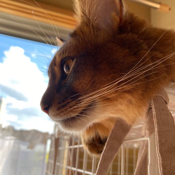 B4657eff 0700 46e4 9f00 bc7b14188313 1635918609264