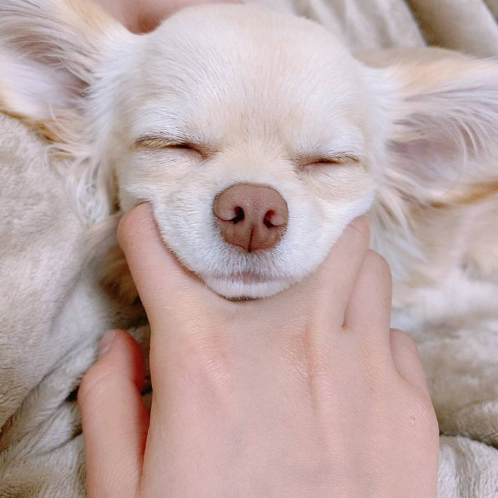 B46588c9 14e5 45e9 8c3a c8e895e5e007 1611899578892