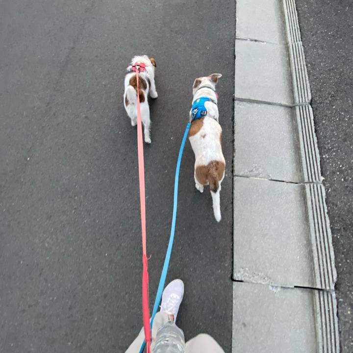 B46595f6 0720 4b27 bb49 c7e6713a1355 1697063468326