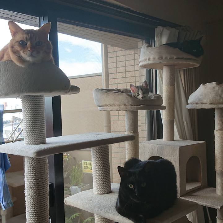 B465c946 8ffb 43bc 8ab6 9b3fb80571a6 1541030356937