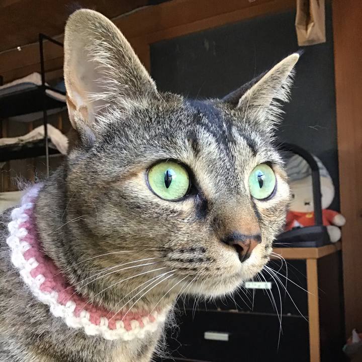 B465db6e b2bb 44e0 ae69 3df940e3a452 1654157416207