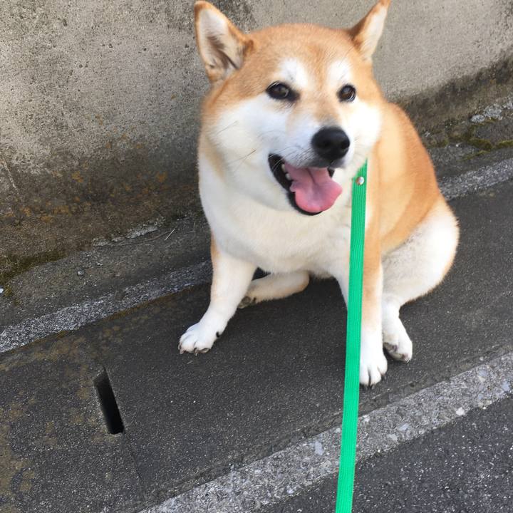 B4661aba 06bd 4af0 917c 6486efd0aecb 1598401161888