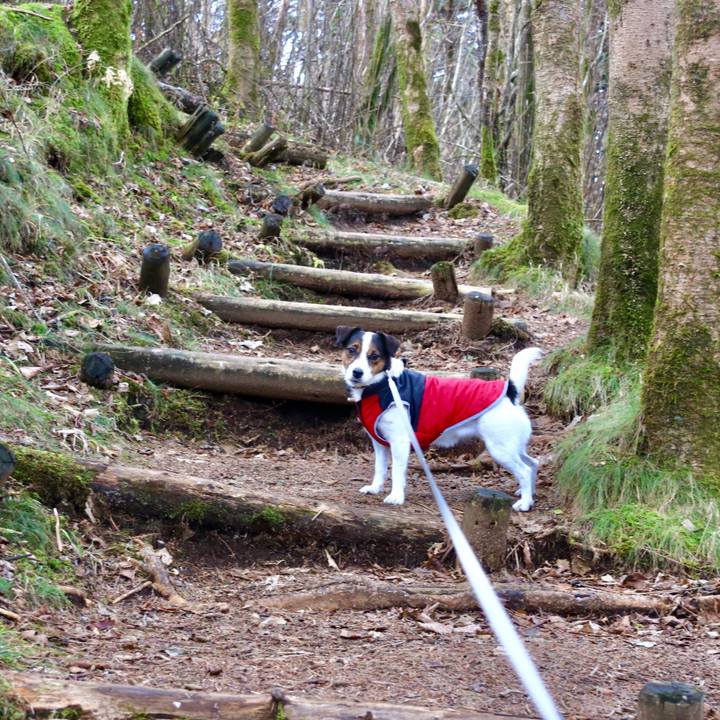 B46639ab 2a9b 47fe 8b3e d3db0430aa61 1606545613229