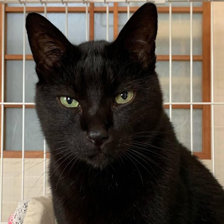 B4664214 90bb 4a92 9588 5988b7e368c7 1545009539611