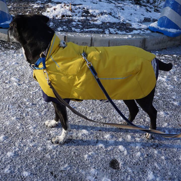 B46668e5 59f9 4825 8237 d3c2a24c87f8 1770596891784