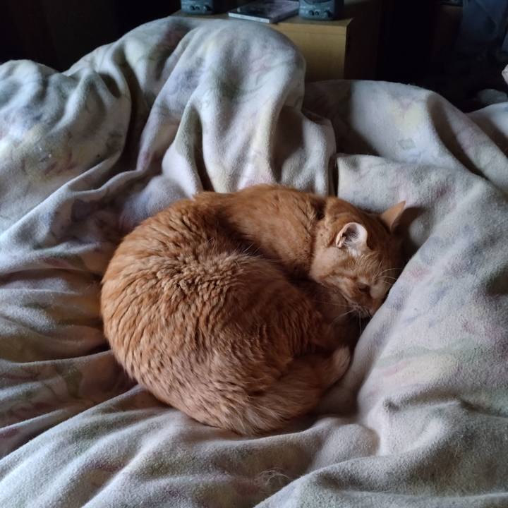 B4668547 b77b 4073 838c aeb94f801052 1684702846793