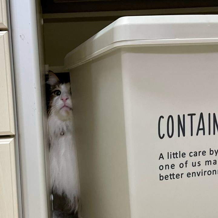 B466899c d20f 4c4a 8ff5 84d1ee37086b 1675542859286