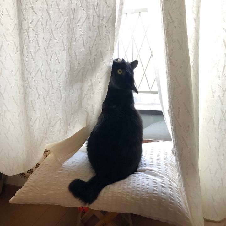 B4669912 e9c3 4f8f bb77 0e0c014f09ee 1547159880972