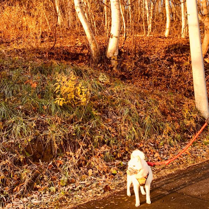 B4669a9c 465d 441f a23f 044f72337526 1668551325291