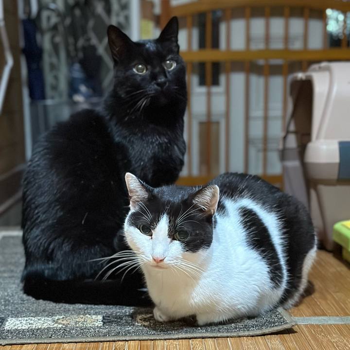 B466dfae 425d 49ab 964c 03c2e71c3266 1700013233910