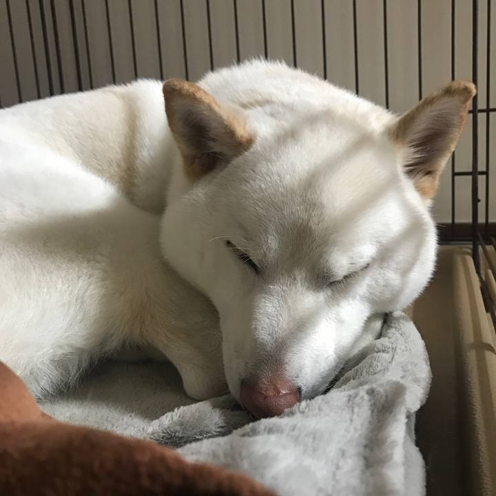 B46704ad 2a39 45d7 9f69 7cb24b71aa32 1521800192940