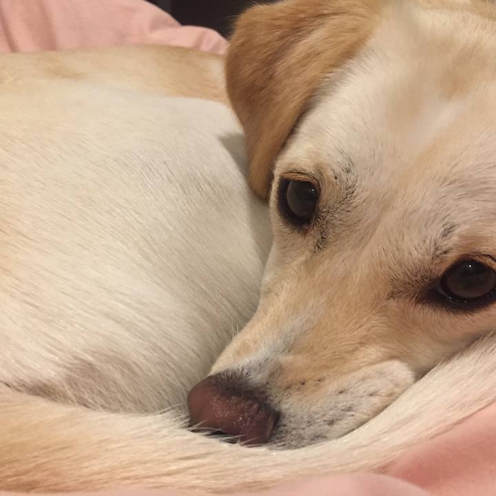 B4670f58 56bd 4401 8bf6 a145526d0cb4 1540133758704