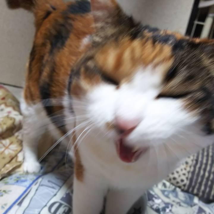 B4671176 da96 4aef 82f5 671b465b84e2 1571780754726