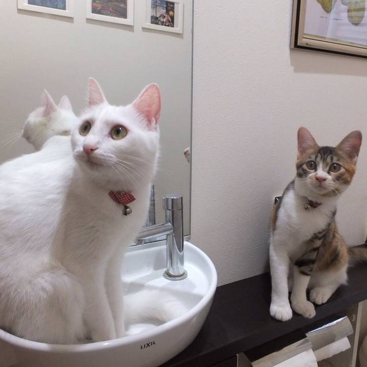 B46726fe 4737 4f04 a696 fe7f5af34651 1632194283994