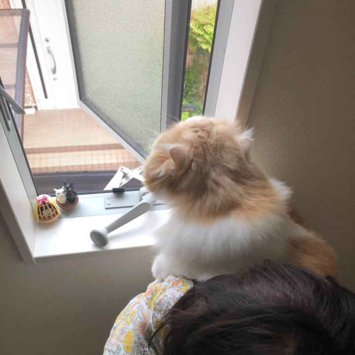 B4672bce e166 4062 9437 0817f8208115 1622848997763