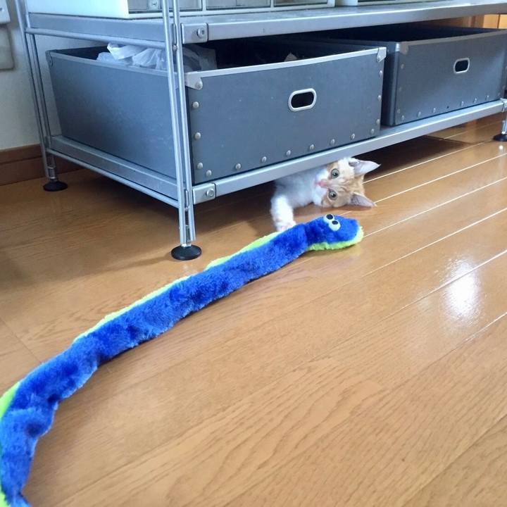 B46733be a386 4b57 b8cd 7eff22ad3b70 1682938807072