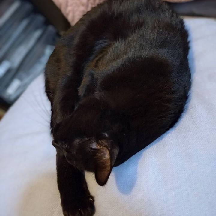 B4676bf1 e601 473f 9657 de2b474fcb46 1763718562194