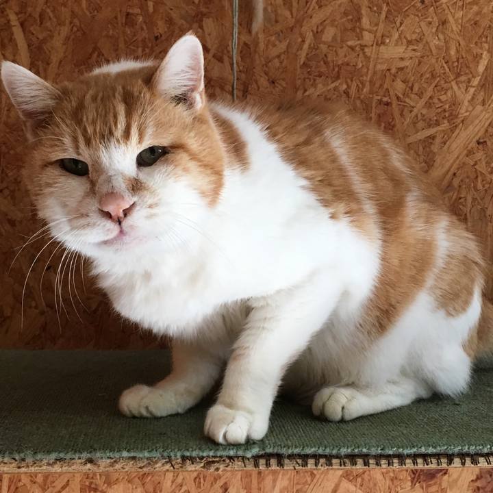 B4678b7f 60fc 4946 a732 6f59a2083b4a 1511170367040